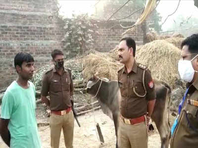 सीतापुरः सिर्फ दो लाख के बंटवारे को लेकर भाई को उतारा मौत के घाट, 3 लोगों पर केस