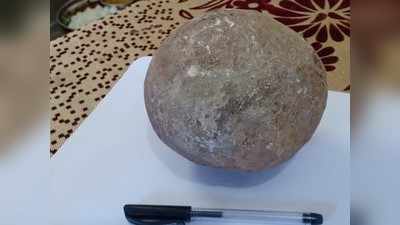 MP News: बॉल समझ जिससे खेल रहे थे बच्चे, वह निकला 6.5 करोड़ साल पुराना डायनासोर का अंडा