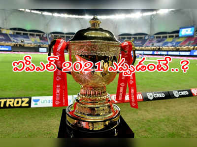 IPL 2021 భారత్‌లోనే.. ఎప్పుడంటే..?: క్లారిటీ ఇచ్చిన గంగూలీ