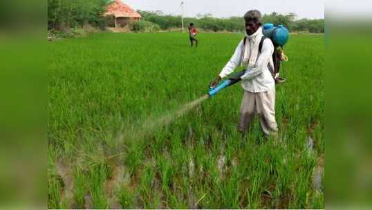 நல்ல பூச்சிகள் பாதிக்காதபடி மருந்து தெளிங்க : வேளாண் இணை இயக்குநர்