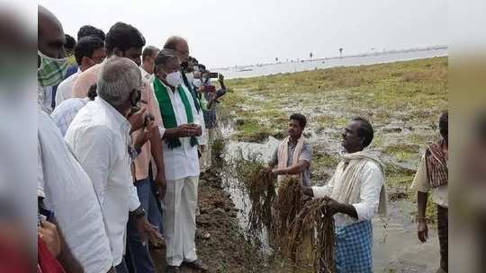 ఏపీలో కేంద్ర బృందాల పర్యటన.. నష్టం అంచనా ఎంతంటే 