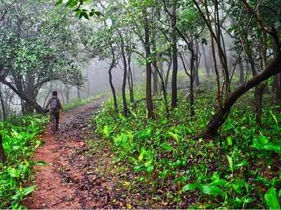 अश्वत्थ: सर्ववृक्षांना...