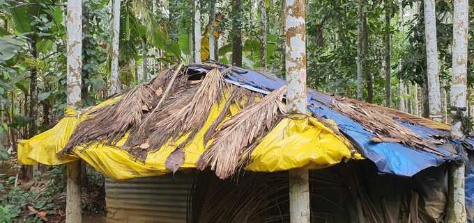 Malappuram Old Woman Life