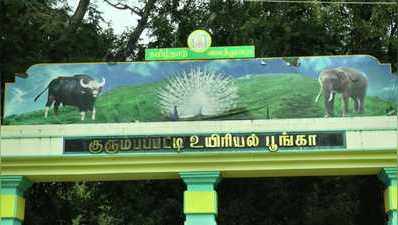 குரும்பப்பட்டி விலங்கியல் பூங்கா: நீங்கள் தெரிந்து கொள்ள வேண்டியவை