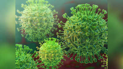 Coronavirus करोना विषाणूंचा मानवी शरीरावर दीर्घकाळ प्रभाव; संशोधनात खुलासा