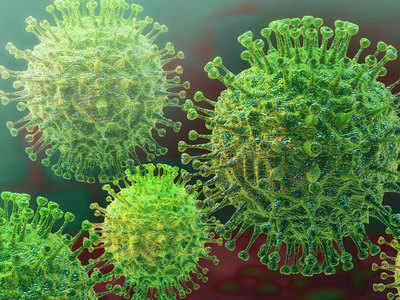 Coronavirus करोना विषाणूंचा मानवी शरीरावर दीर्घकाळ प्रभाव; संशोधनात खुलासा