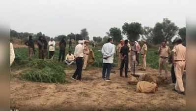 Dholpur : फसलों के बीच हो रही थी अवैध गांजे की खेती, करोड़ों की इस काले कारोबार को देख पुलिस भी रह गई दंग !