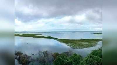 நிரம்ப போகும் செம்பரபாக்கம் ஏரி, அரசு என்ன செய்கிறது?