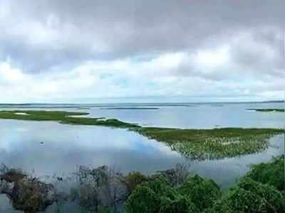 நிரம்ப போகும் செம்பரபாக்கம் ஏரி, அரசு என்ன செய்கிறது?