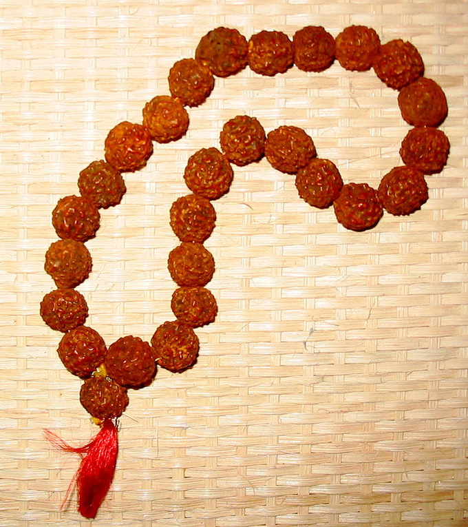 ganesh rudraksha benefits