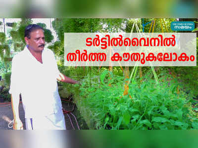 ടര്‍ട്ടില്‍വൈനില്‍ തീര്‍ത്ത കൗതുകലോകം