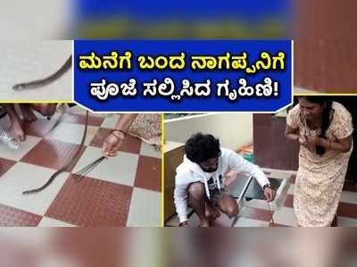 ಮನೆಗೆ ಎಂಟ್ರಿ ಕೊಟ್ಟ ನಾಗಪ್ಪನಿಗೆ ಪೂಜೆ ಮಾಡಿ ಬೀಳ್ಕೊಡುಗೆ ಸಲ್ಲಿಸಿದ ಗೃಹಿಣಿ..!