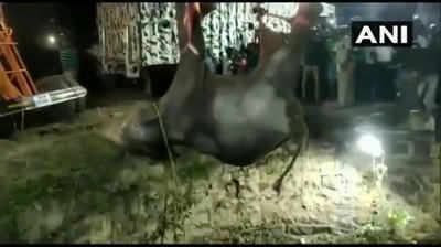 Tamilnadu: कुएं में गिरा हाथी का बच्चा, 16 घंटे लगातार चला रेस्क्यू ऑपरेशन, देखें वीडियो