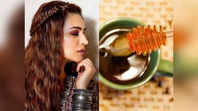 Hair Mask For Winter: सर्दियों में बाल हो गए हैं रूखे और बेजान, तो शहद के इस बेहद सस्ते हेयर पैक से उनमें डालें जान