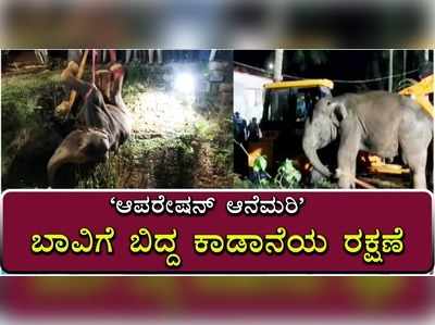 ಆಪರೇಷನ್ ಆನೆಮರಿ; ತಮಿಳುನಾಡಿನಲ್ಲಿ ಬಾವಿಗೆ ಬಿದ್ದ ಕಾಡಾನೆಯ ರಕ್ಷಣೆ