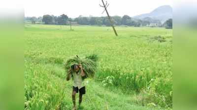 ಮೈಸೂರು: ಮತ್ತೆ ಬಂದಿದೆ ವಿಕ ಸೂಪರ್‌ ಸ್ಟಾರ್‌ ರೈತ,  ನ.23ರಂದು ಅರ್ಜಿ ಸಲ್ಲಿಕೆಗೆ ಕೊನೆ ದಿನ