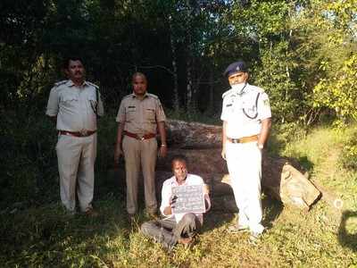 ಸೀಸಂ (ರೋಸ್‌ ವುಡ್‌) ಮರಗಳನ್ನು ಅಕ್ರಮವಾಗಿ ಕಡಿದು ಸಾಗಣೆ ಮಾಡಲು ಯತ್ನಿಸಿದ ವ್ಯಕ್ತಿ ಬಂಧನ