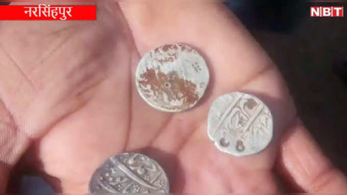 नरसिंहपुरः मिट्टी की खुदाई के दौरान मिले मुगलकालीन सिक्के, ग्रामीणों में मची लूट