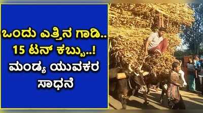 ವಿಡಿಯೋ: ಒಂದು ಎತ್ತಿನ ಗಾಡಿ 15 ಟನ್‌ ಕಬ್ಬು..! ಮಂಡ್ಯ ಯುವಕರ ಸಾಧನೆ