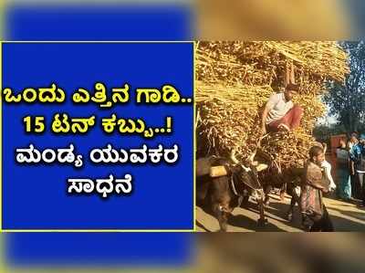 ವಿಡಿಯೋ: ಒಂದು ಎತ್ತಿನ ಗಾಡಿ 15 ಟನ್‌ ಕಬ್ಬು..! ಮಂಡ್ಯ ಯುವಕರ ಸಾಧನೆ