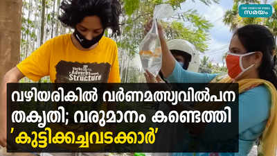 വഴിയരികിൽ വര്‍ണമത്സ്യവില്‍പന തകൃതി; വരുമാനം കണ്ടെത്തി കുട്ടിക്കച്ചവടക്കാർ