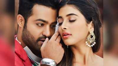 ఎన్టీఆర్‌పై కామెంట్ చేసి బుక్కైన పూజా హెగ్డే.. ఆ ఒక్క మాటతో మళ్ళీ మొదలైన రచ్చ!!