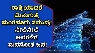 ರಾತ್ರಿಯಾದರೆ ಮಿನುಗುತ್ತೆ ಮಂಗಳೂರು ಸಮುದ್ರ! ನೀಲಿನೀಲಿ ಅಲೆಗಳಿಗೆ ಮನಸೋತ ಜನ!