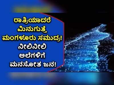 ರಾತ್ರಿಯಾದರೆ ಮಿನುಗುತ್ತೆ ಮಂಗಳೂರು ಸಮುದ್ರ! ನೀಲಿನೀಲಿ ಅಲೆಗಳಿಗೆ ಮನಸೋತ ಜನ!