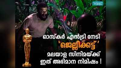 ലിജോ ജോസ് പെല്ലിശ്ശേരിയുടെജെല്ലിക്കട്ടിന് ഓസ്കാറിലേക്ക് ഇന്ത്യയുടെ ഒഫിഷ്യൽ എൻട്രി!