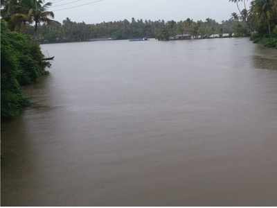 ചാലക്കുടിപ്പുഴയിലെ മത്സ്യസമ്പത്ത്‌ കുറയുന്നതായി  പഠനം: കാരണം കീടനാശിനികളുടെ സാന്നിധ്യവും അമിത പായലും