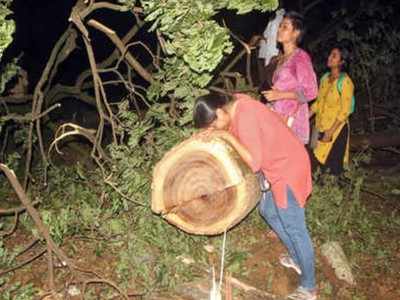 आरे आंदोलकांच्या पदरी निराशाच; गुन्हे अजूनही कायम