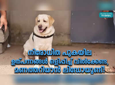 നിരോധിത പുകയില ഉത്പന്നങ്ങൾ ഒളിപ്പിച്ച് വിൽക്കേണ്ട, മണത്തറിയാൻ ലിഡോയുണ്ട്!