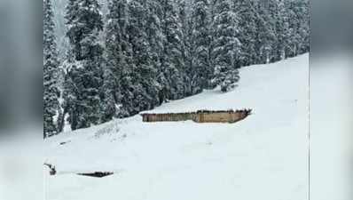 जम्मू कश्मीर में बर्फबारी से पहाड़ों पर जमी मोटी परत, 12 जिलों में हिमस्खलन की चेतावनी