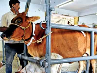 കർണ്ണാടകയിൽ ഗോവധ നിരോധനം; കേരളത്തേയും ബാധിക്കും; അറിയേണ്ട കാര്യങ്ങൾ