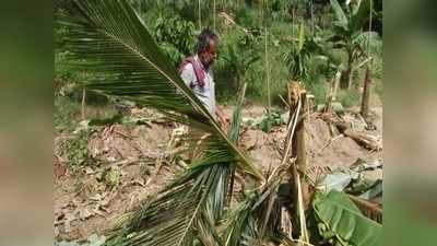 കാട്ടാന ശല്യം രൂക്ഷം; വിറങ്ങലിച്ച് നേര്യമംഗലത്തെ കാഞ്ഞിരവേലി ഗ്രാമം; വ്യാപക കൃഷിനാശം, നഷ്ടപരിഹാരം ലഭിക്കുന്നില്ലെന്നും പരാതി, വീഡിയോ