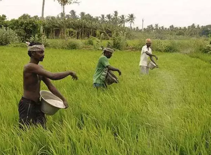 લિસ્ટમાં નામ ન હોય તો ફરિયાદ ક્યાં કરશો