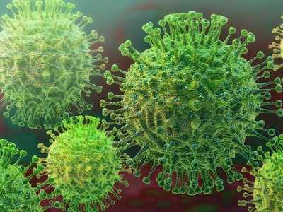 coronavirus - साडेचारशे पार कायम