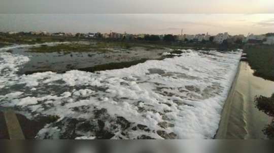 வைகை ஆற்றில் பொங்கும் ஆளுயர நுரை... கழிவுகளால் அபாயம்