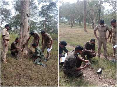 നഖവും കാൽപാദങ്ങളും പരിശോധിക്കും, ഒരു മാസം നീണ്ടു നിൽക്കുന്ന എണ്ണൽ... മുതുമലയില്‍ മൃഗങ്ങളുടെ കണക്കെടുപ്പ് തുടങ്ങി; വനത്തില്‍ സ്ഥാപിച്ചിരിക്കുന്നത് 191 ക്യാമറകള്‍