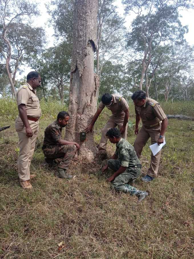 കാടിനകത്തെ കണക്കെടുപ്പ് പകൽസമയത്ത്