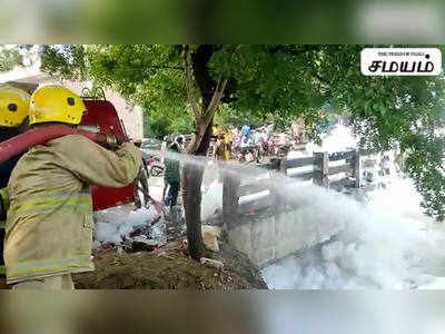 வைகை ஆற்றில் நுரை... வியக்க வைக்கும் காட்சிகள்