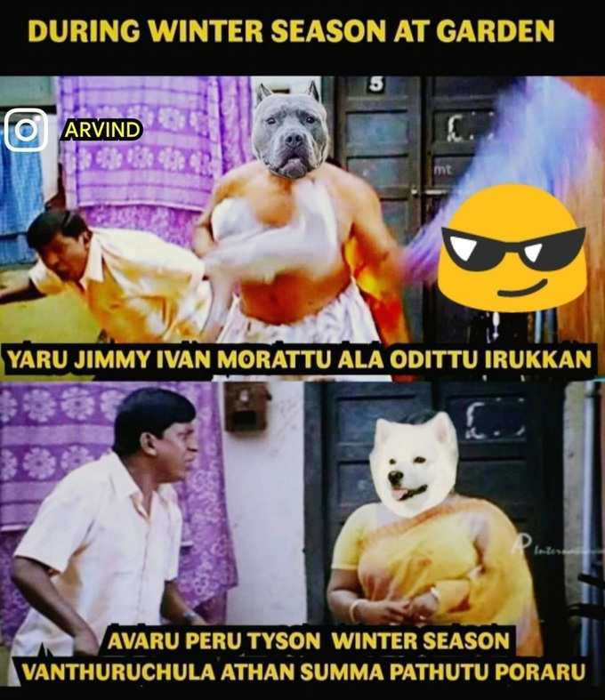 tamil dog meme