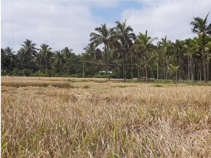 പ്രതിസന്ധികളെ അതിജീവിച്ച് മുന്നോട്ട്‌