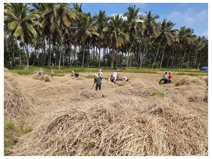 സുഭിക്ഷ കേരളം