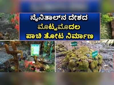 ವಿಡಿಯೋ | ನೈನಿತಾಲ್‌ನಲ್ಲಿ ದೇಶದ ಮೊಟ್ಟಮೊದಲ ಪಾಚಿ ತೋಟ ನಿರ್ಮಾಣ..!