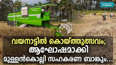 വയനാട്ടില്‍ കൊയ്ത്തുത്സവം; ആഘോഷമാക്കി മുള്ളന്‍കൊല്ലി സഹകരണ ബാങ്കും...