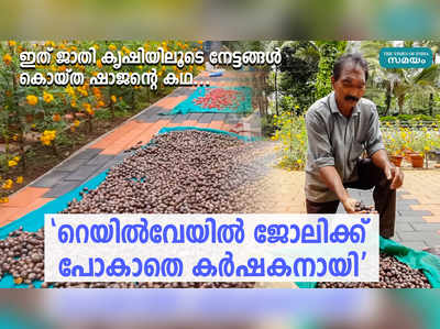 ജാതി കൃഷിയിലൂടെ നേട്ടങ്ങൾ കൊയ്ത് മുള്ളൻകൊല്ലിയിലെ ഷാജൻ