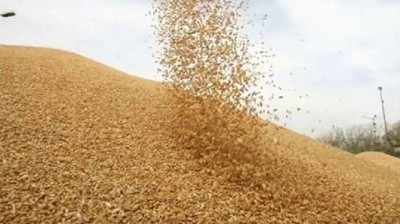 Jharkhand News: झारखंड में शुरू हुई धान  खरीद, किसानों के लिए ये रहेगा प्रति क्विंटल धान का रेट