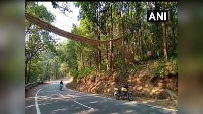 Unique eco bridge: ताकि सड़क क्रॉस कर सकें सांप, गिलहरी और बंदर... वन विभाग ने बनाया 90 फुट का अनोखा पुल