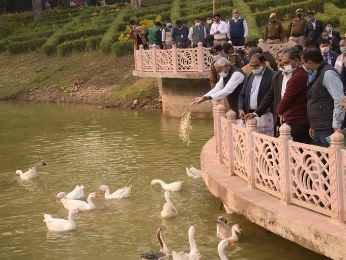 पक्षियों को दाना डालते सीएम नीतीश कुमार